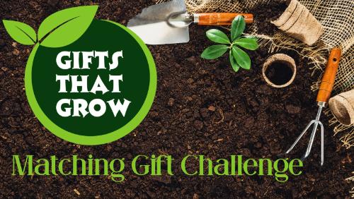 Gifts The Grow logo on a background of garden soil, gloves, trowel, green plants